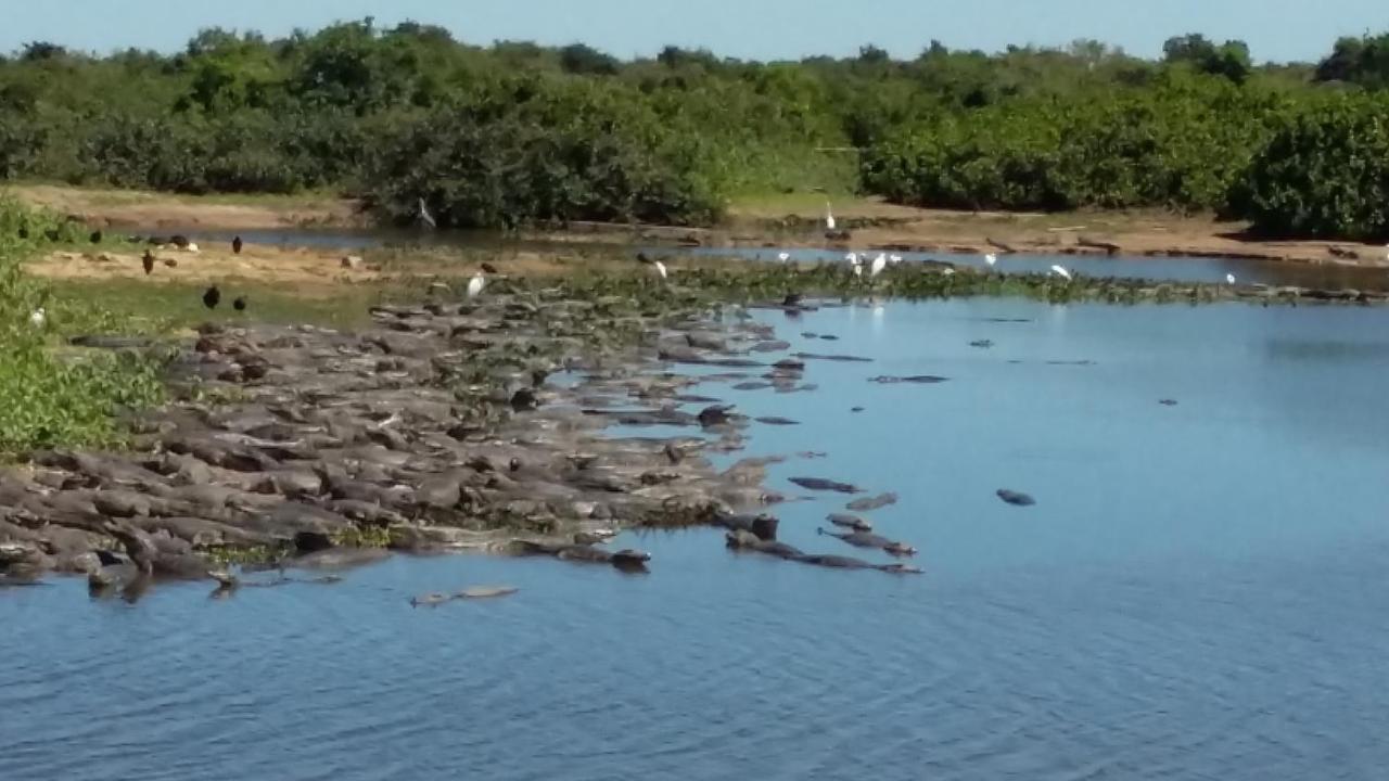 Hotel Pousada And Safari Cuiabá Zewnętrze zdjęcie